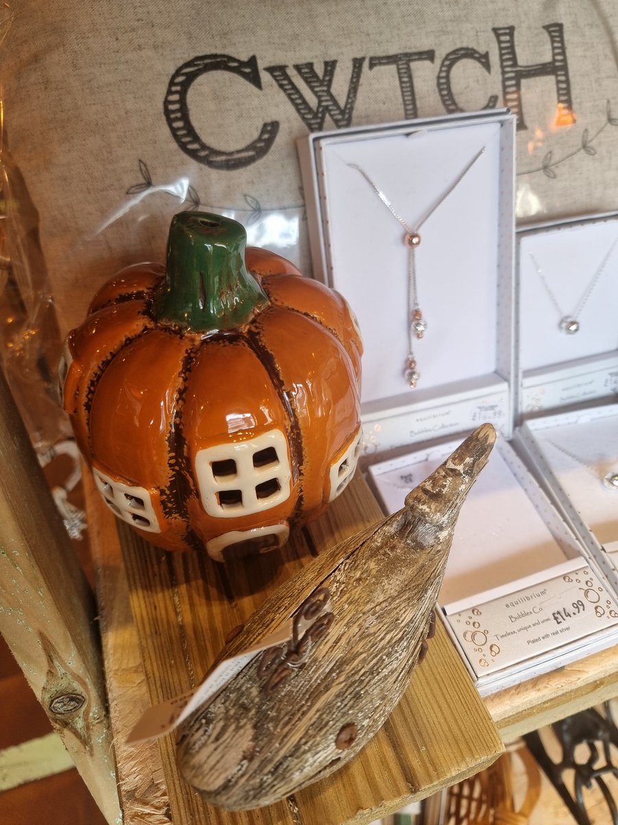 hallsofllandaff's tweet photo. Met a lovely lady at a fundraising charity ball last night. 
She was doing research &amp; lectures in debridement biotherapy medical science at Swansea Uni.
She politely asked me what I did ? 
So I told her about my new ceramic Halloween 🎃 pumpkins which I'm selling at £12.99 each. https://t.co/G0Xuott4z7