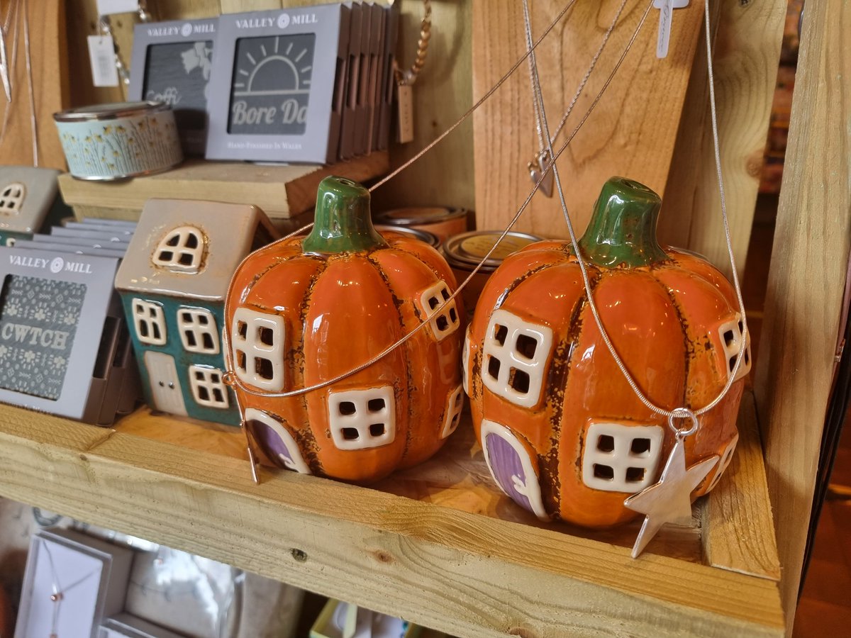 hallsofllandaff's tweet photo. Met a lovely lady at a fundraising charity ball last night. 
She was doing research &amp; lectures in debridement biotherapy medical science at Swansea Uni.
She politely asked me what I did ? 
So I told her about my new ceramic Halloween 🎃 pumpkins which I'm selling at £12.99 each. https://t.co/G0Xuott4z7