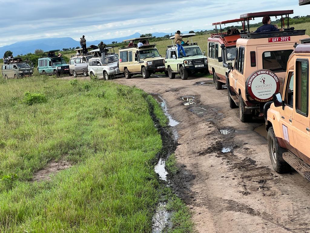 Uganda Wildlife Authority tweet media