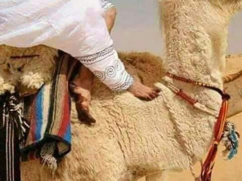 dorasolimy's tweet photo. Sahara Ksar Ghilane Tunisie ♡ https://t.co/dyQBw2Q11f