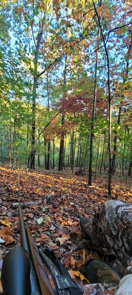 AliensExist0's tweet image. Taking a break hiking up the mountain. Late start this morning looking for whitetail. #OpeningDay #FirstLite #Tikka #308Gang