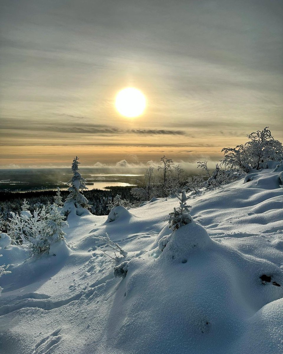 This week the first snows appeared in the north, and the first crisp frost in southern and central Finland. It's beginning to look a bit like winter!

Thanks to paivivallius_, tujukoo, tommi_lehto, and johannamilja for tagging us in their photos on IG:
instagram.com/discoveringfin…