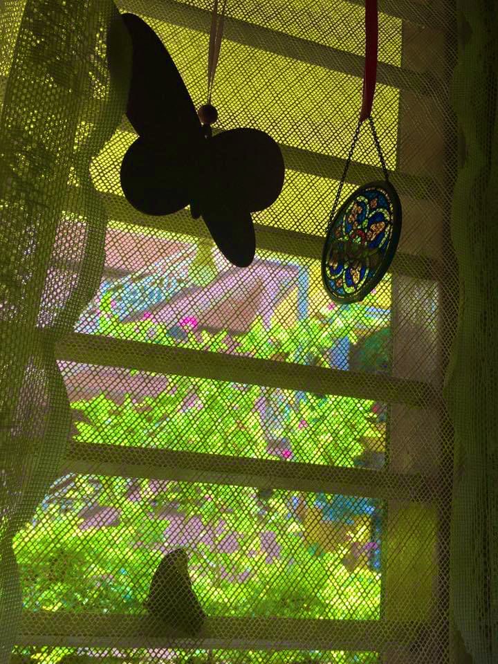 vrundavs's tweet photo. Gazing at a window 🪟
Gazing through a window….
Is calming…
There is so much happening!
A butterfly rests on a hot afternoon
#windowside #windowstory #vrupix https://t.co/DWIbhOiVXF