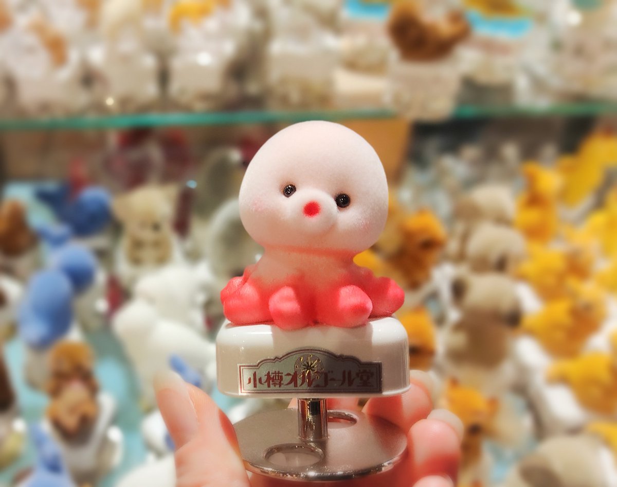 小樽で買うか悩んで買わなかったタコのオルゴール、後悔しすぎてずっと