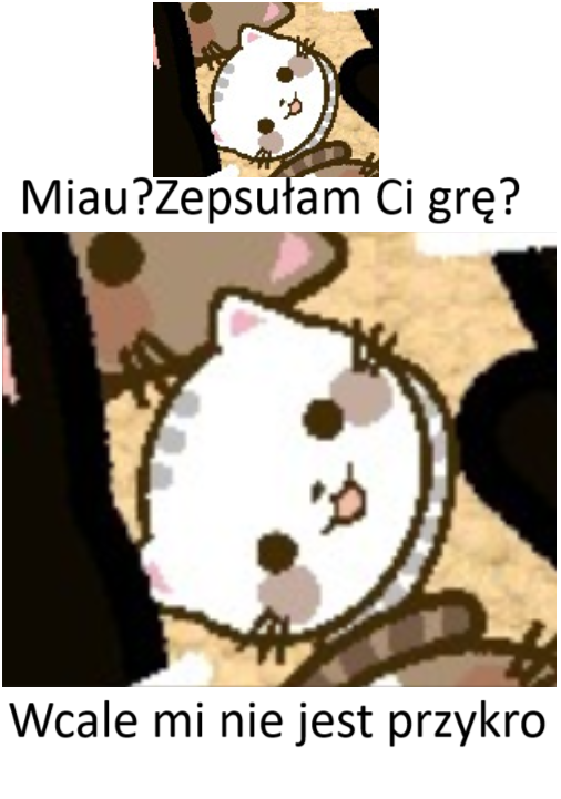 MarcinM95846471's tweet photo. #suicats #猫 

Meow? I've Ruined your game?
I'm not even sorry

にゃ？あなたのゲームを台無しにしてしまいましたにゃ？
謝ることがないけど https://t.co/PxsoYQN8P4