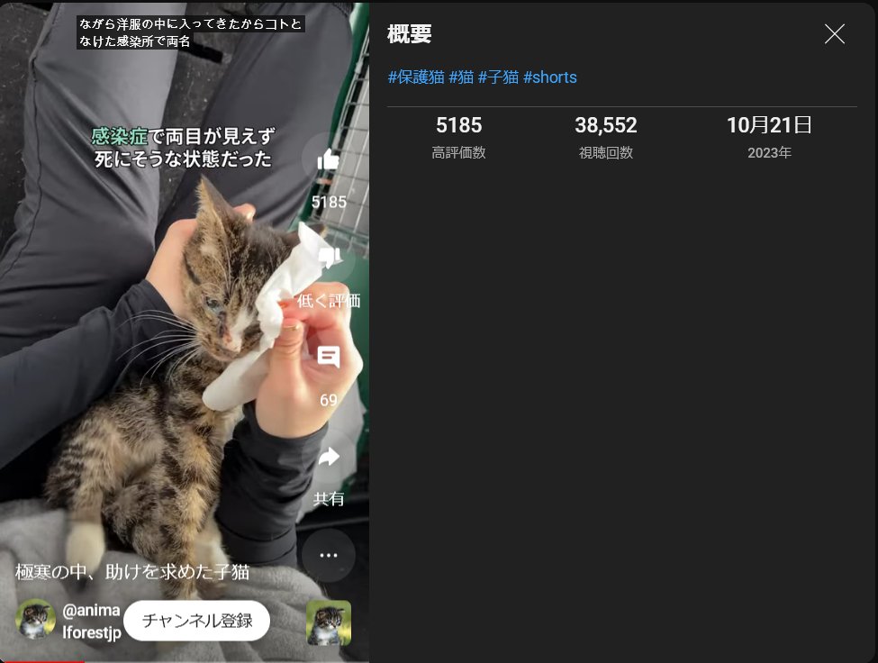 renunya's tweet photo. ダンテさん、20時間の動画編集おつかれ(棒読み
また4ぬ4ぬシリーズに1本追加ですね。
#アニマルフォレスト #Dante #Aurele https://t.co/CPOAppZt48