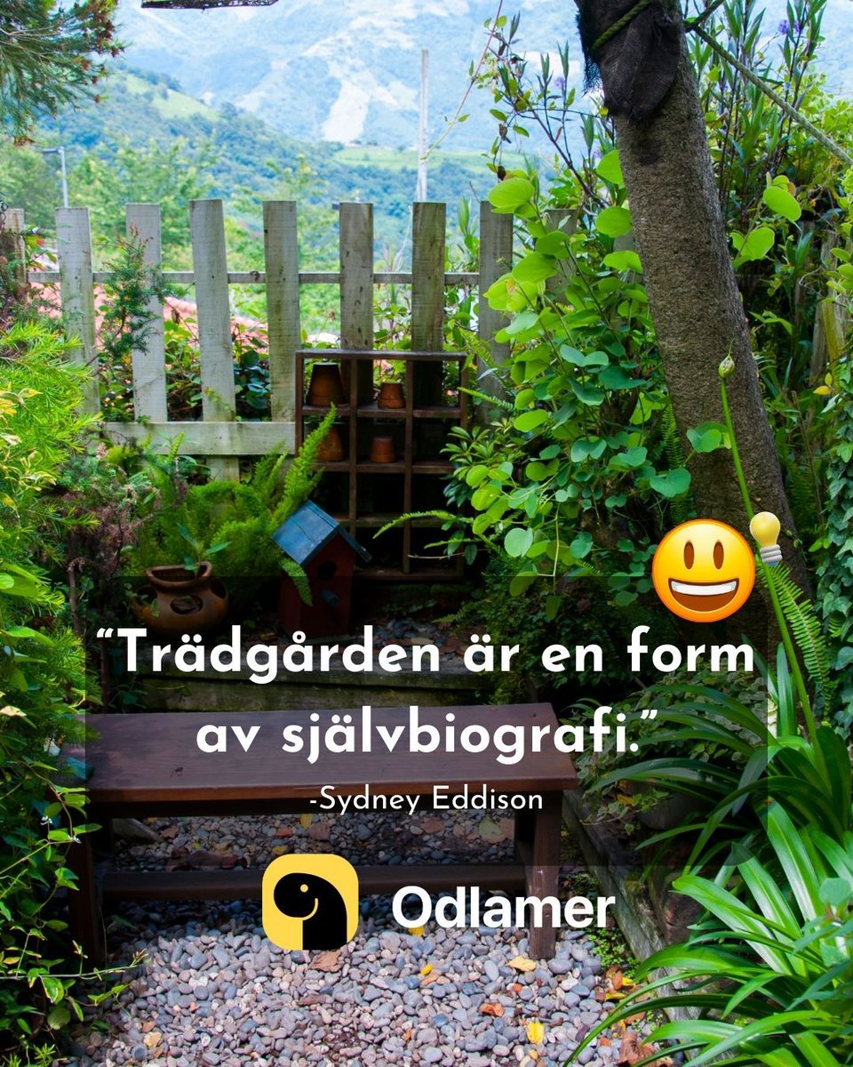 Gardens are like a living autobiography. Every plant, every arrangement, tells a story about the person who tends to them – their style, passions, and unique sense of beauty, all woven into nature's canvas