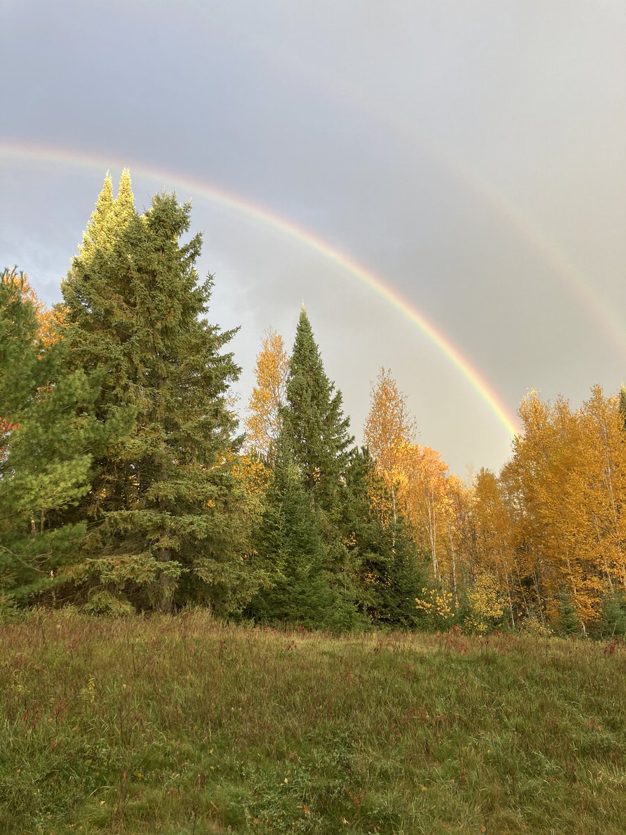 TomMartell54107's tweet photo. #rainbow #NorthernWI https://t.co/0nmLCkuwxY