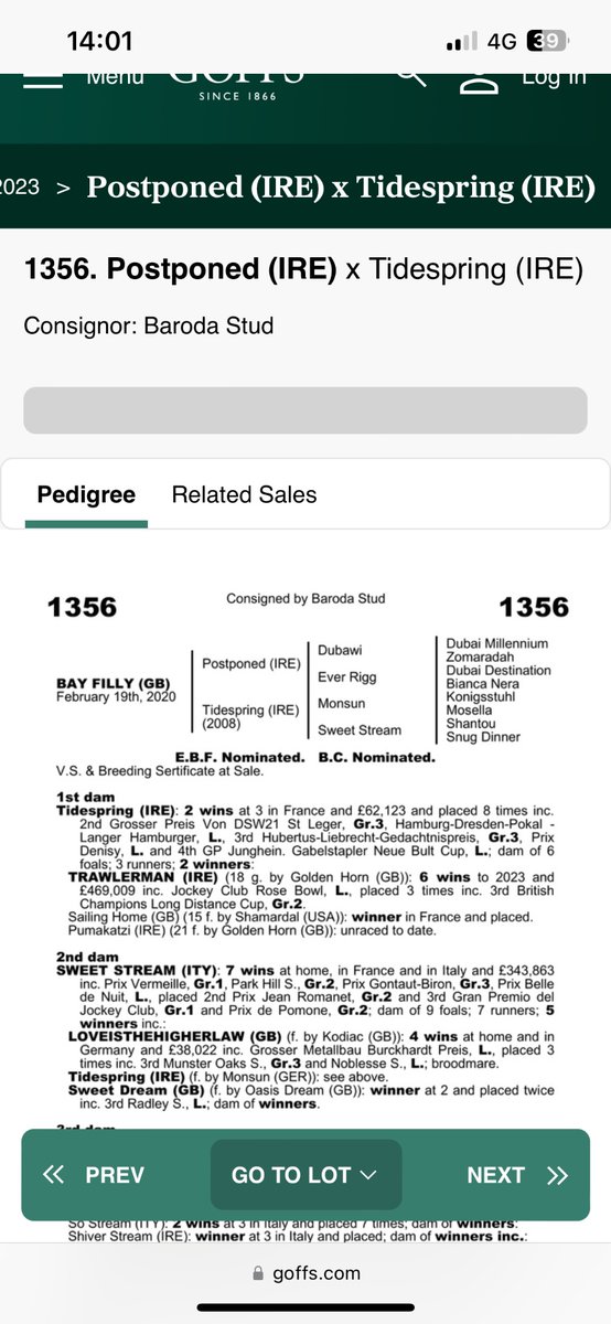McCullen94's tweet photo. For  trawlerman’s sister’s team, timely update. @MosaiPlunkett @JamesMulligan_ @Goffs1866 patience pays off 💪 https://t.co/N471wSOLyw