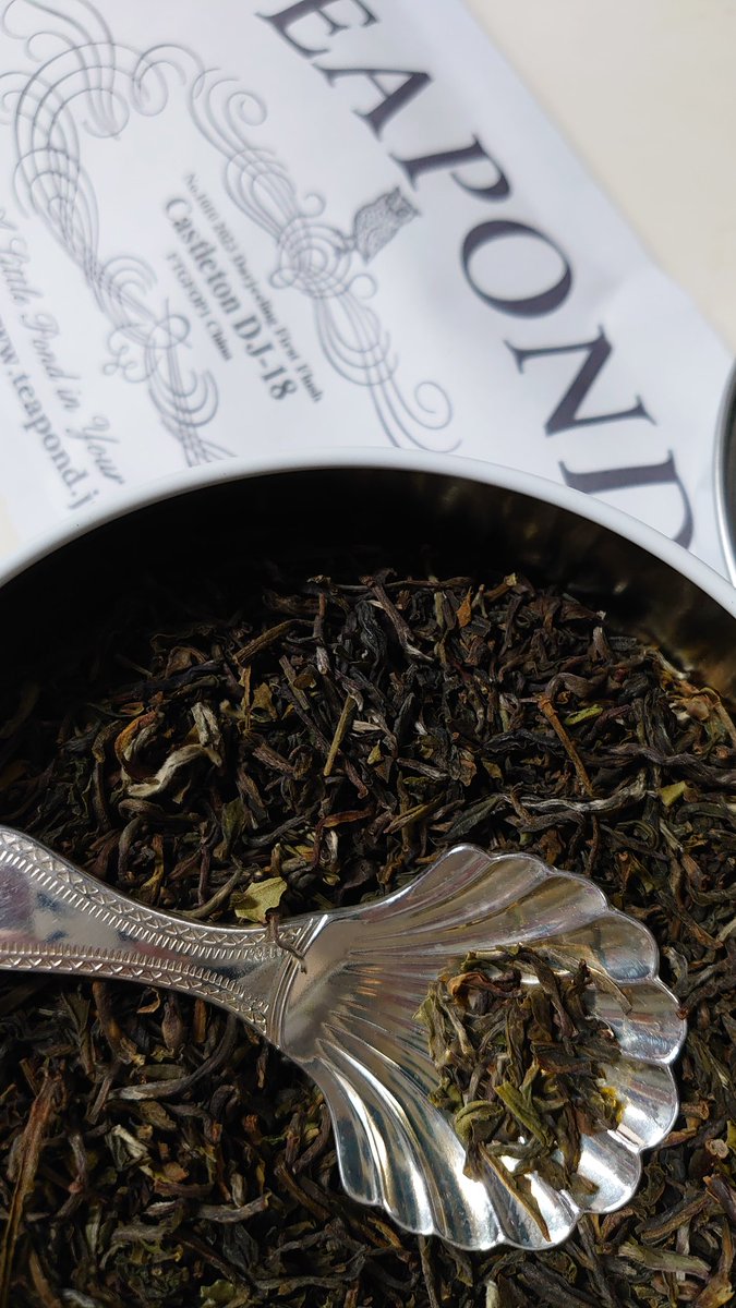 この前TEAPONDさんで沢山茶葉を買いました。で、最初にまずこれを開けたんですが、すっごいおいしい。お勧め。2023ダージリンファーストフラッシュキャッスルトンDJ18。物凄く味わいがマイルド。渋み全くない。