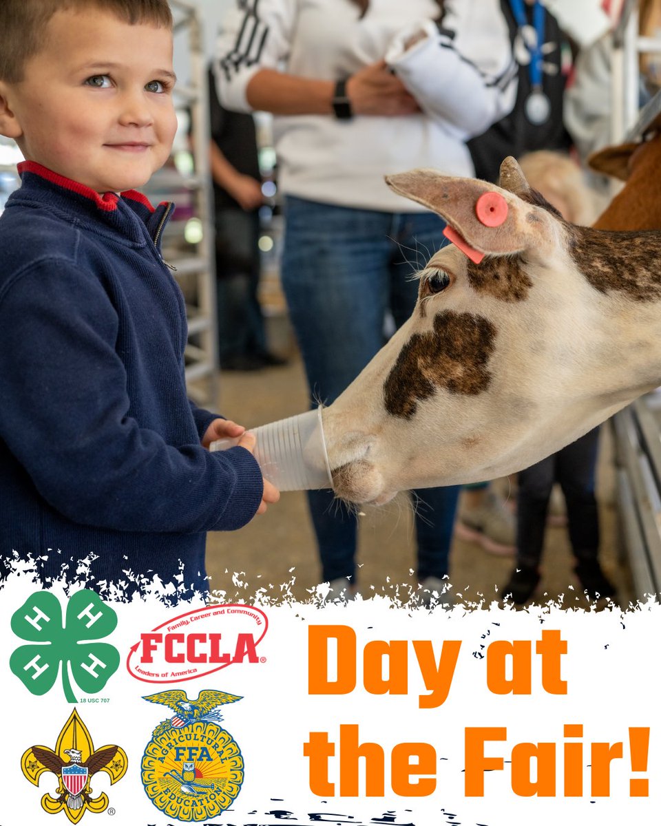 ArkStateFair's tweet image. 🎉 Enjoy a Day of Rides and Fun at the Arkansas State Fair! 🎢

💫 KSSN 96 RIDE DAY
🔌 ENTEGY DAY AT THE FAIR
🌾 FFA, FCCLA, SCOUT DAY, AND 4-H DAY

#arkansas #arkansasfair #fairfood #ArkansasStateFair #SeeYallThere #LittleRock

@kssn96
@NationalFCCLA
@boyscouts
@nationalffa
@4H
