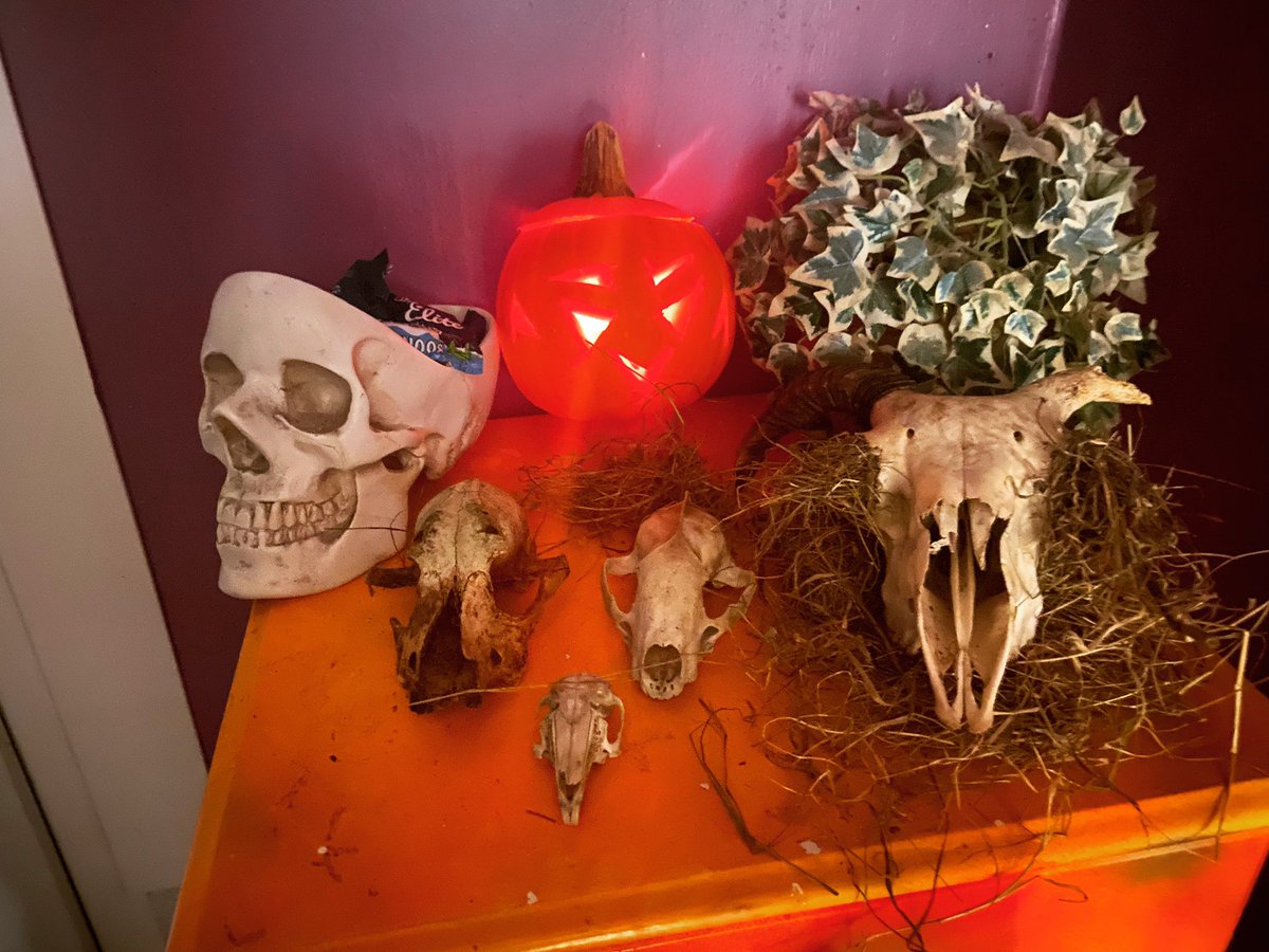Getting ready for Samhain 🎃