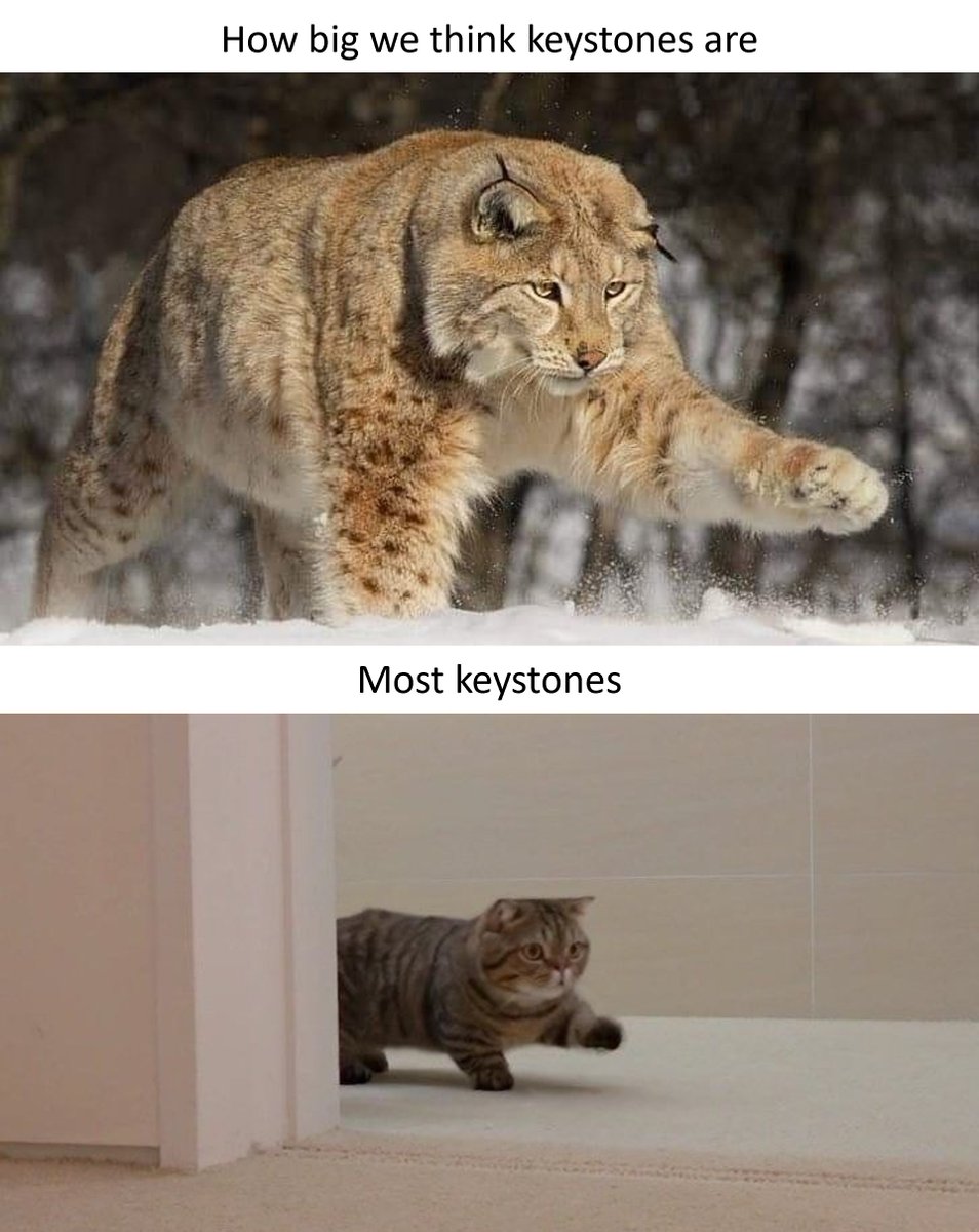 Ishana Shukla tweet media