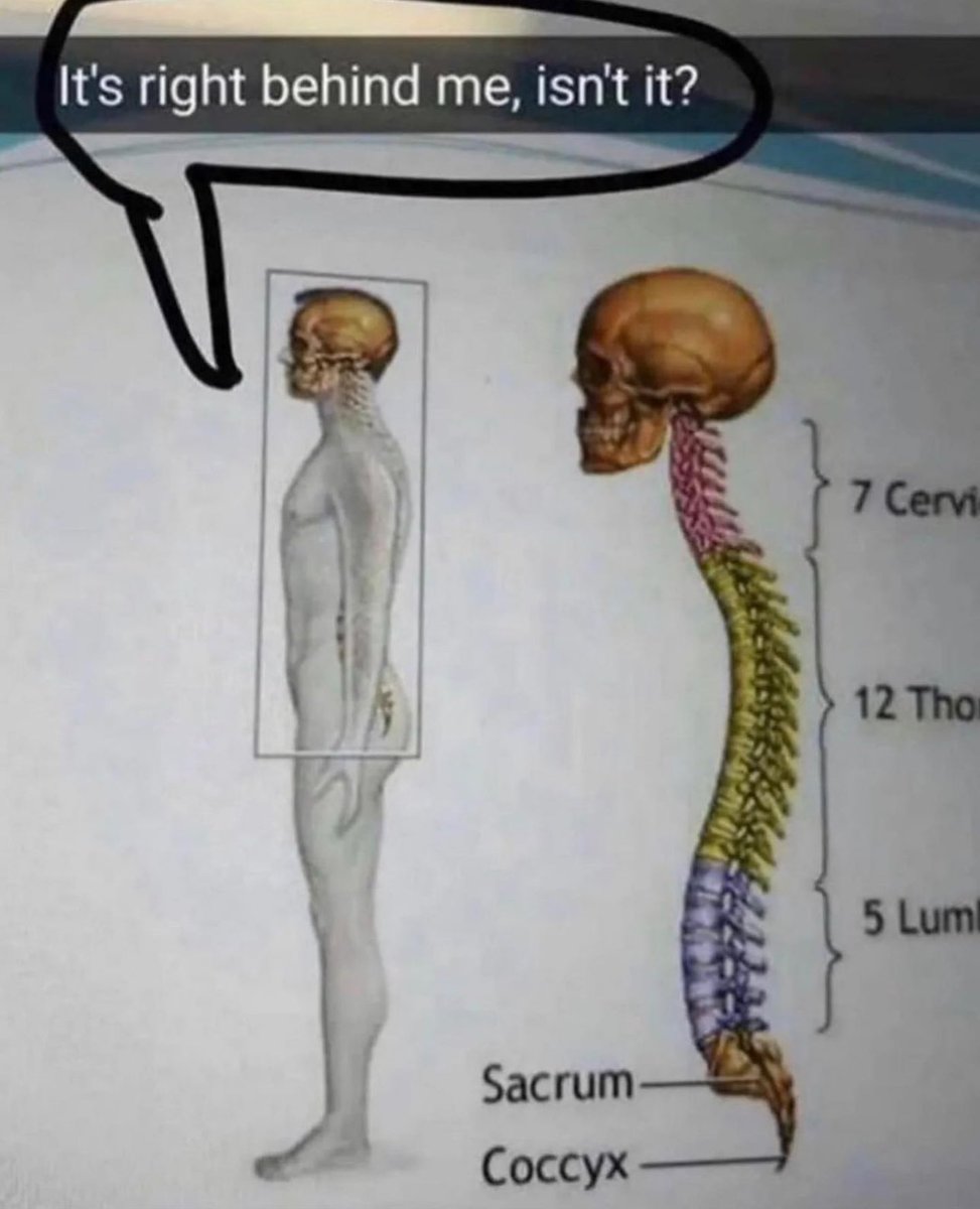 no context memes (@weirddalle) on Twitter photo 