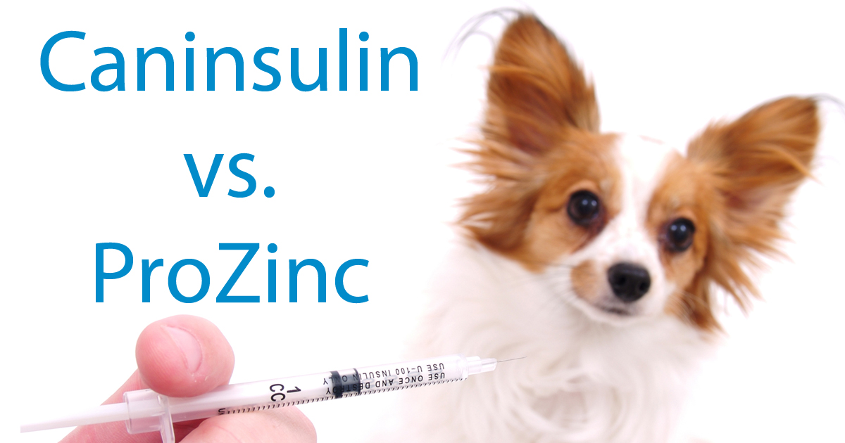 VPrescriber's tweet photo. How well do you know your insulins? Brush up on your knowledge of these two insulins for diabetes management in cats and dogs with our latest CPD module. 
https://t.co/PzckyHwTE0 

#VeterinaryMedicines
#MakingSenseofMedicines
#KeepUpToDateonMedicines
#CPD https://t.co/OempPalEl0