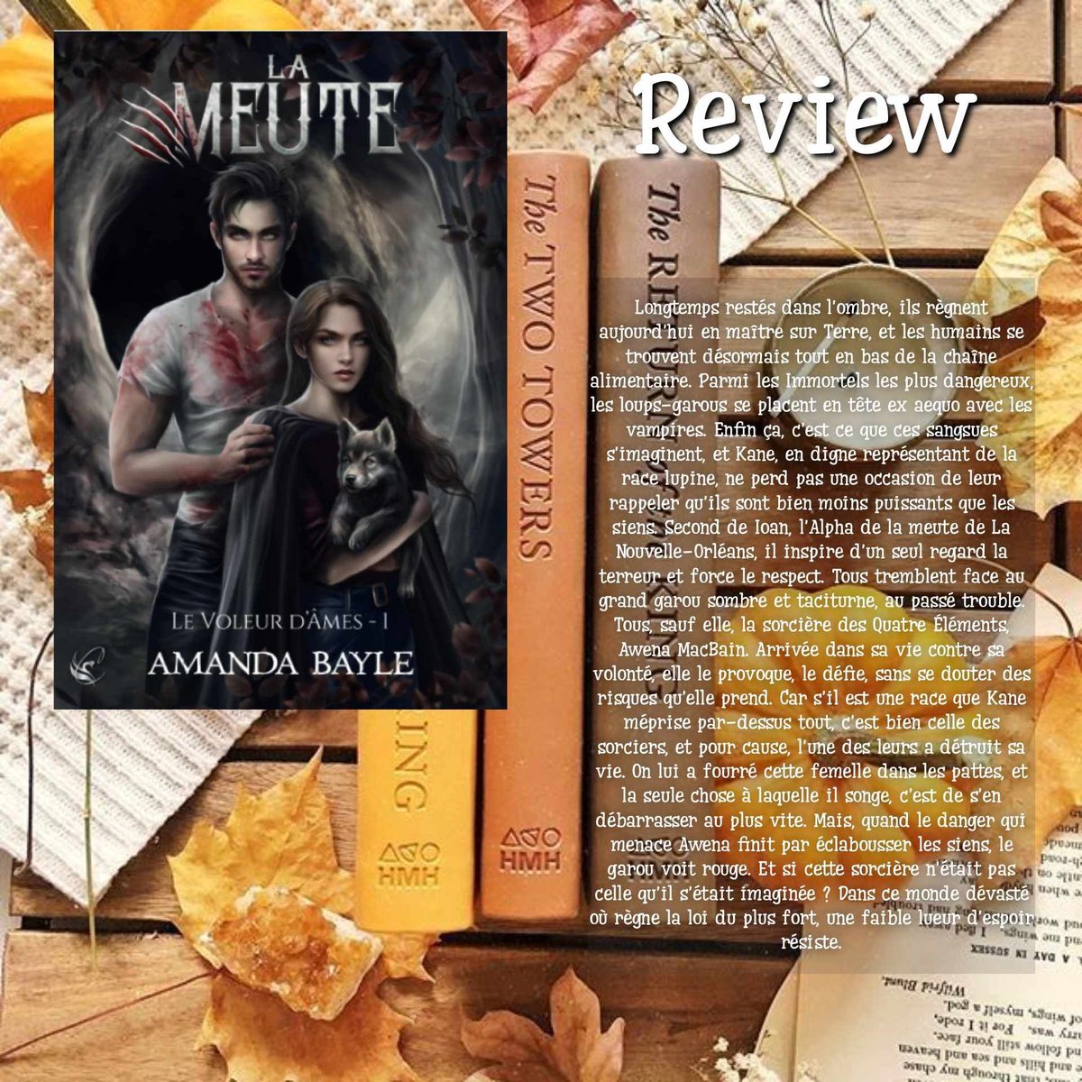 Follow the Reader tweet media