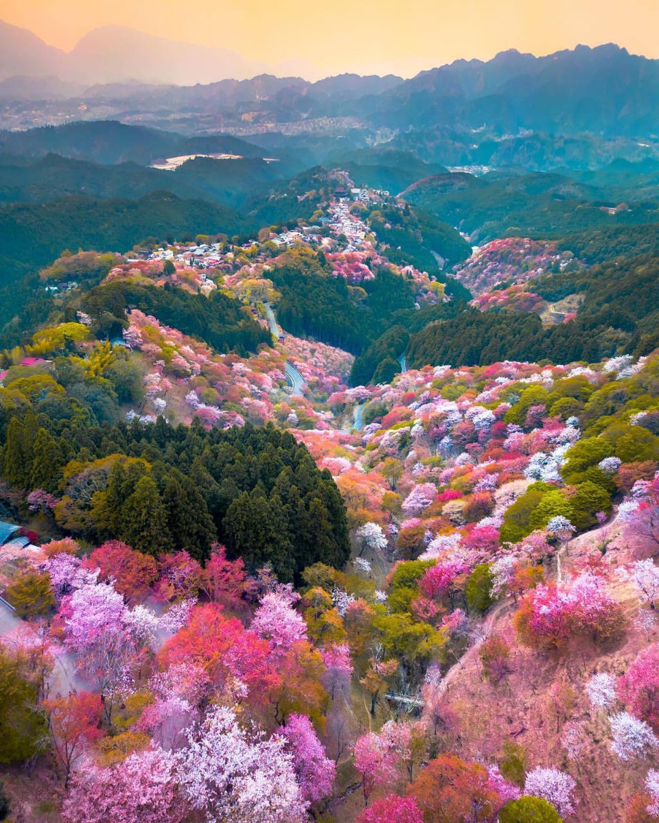 Wao it's an amazing 😍🤩 pic