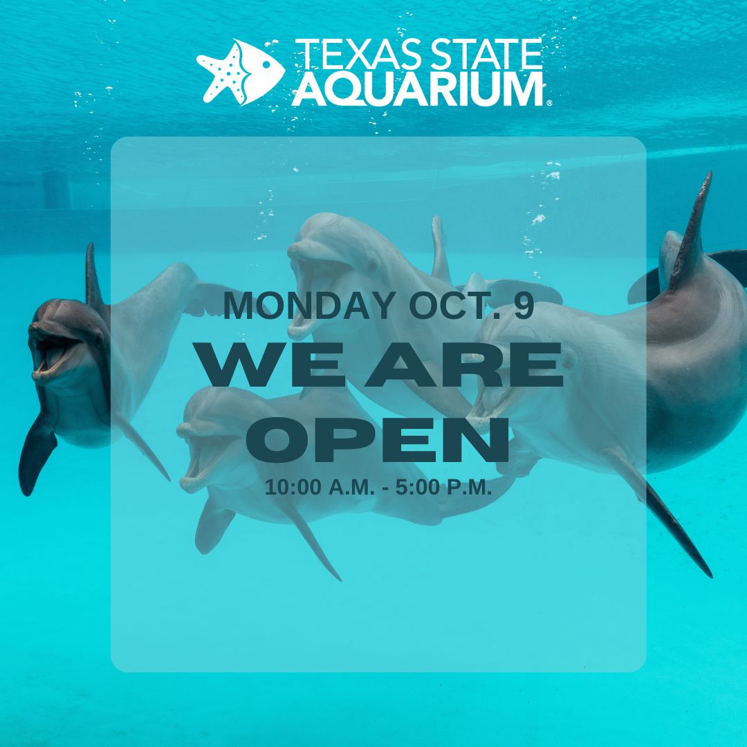 TXStateAquarium's tweet photo. Yes, we are OPEN today! π¬ What better way to spend your 3 day weekend than at the Aquarium? We are open 10-5 pm today! π #aquarium #corpuschristi #visittx https://t.co/5ZaWRWY28n