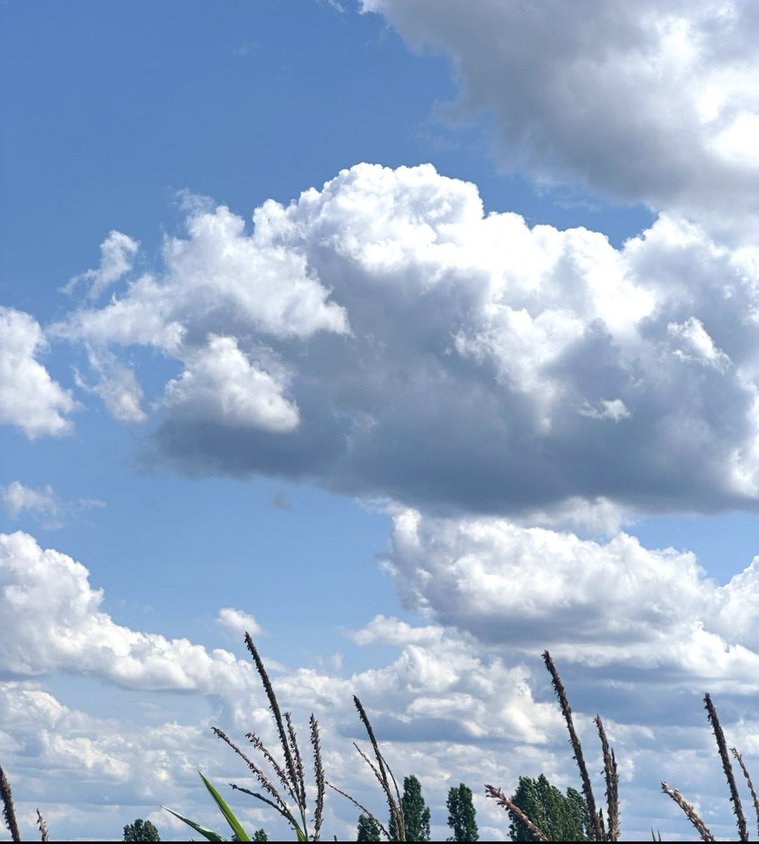 Wenn man zu Menschen, die nicht twittern Dinge sagt wie: „Aww, schau mal, wie schön die Wolken heute wieder sind!“, dann schauen die einen glatt so an, als würde vor ihren Augen der leckerste aller Kekse in 1000 Brösel zerfallen.