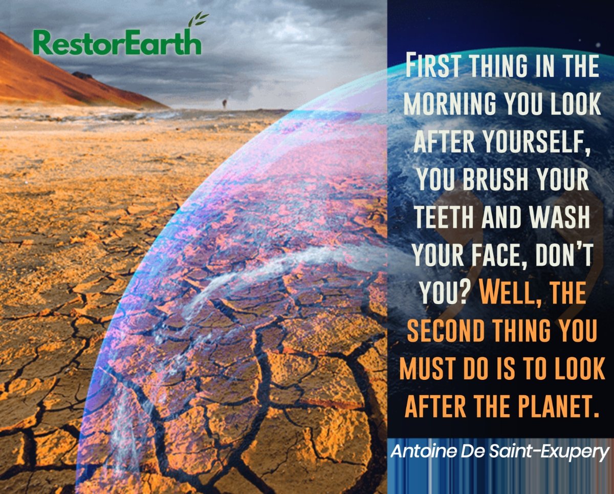 savearth_caf's tweet photo. If you don't do it, who will??
There's no plan(et) B to fall back on.
Be a part of climate action! ๐ฃ๏ธ๐ข
#RestorEarth
#ClimateAction
#ClimateChangeQuotes https://t.co/FnRrZCuz2V