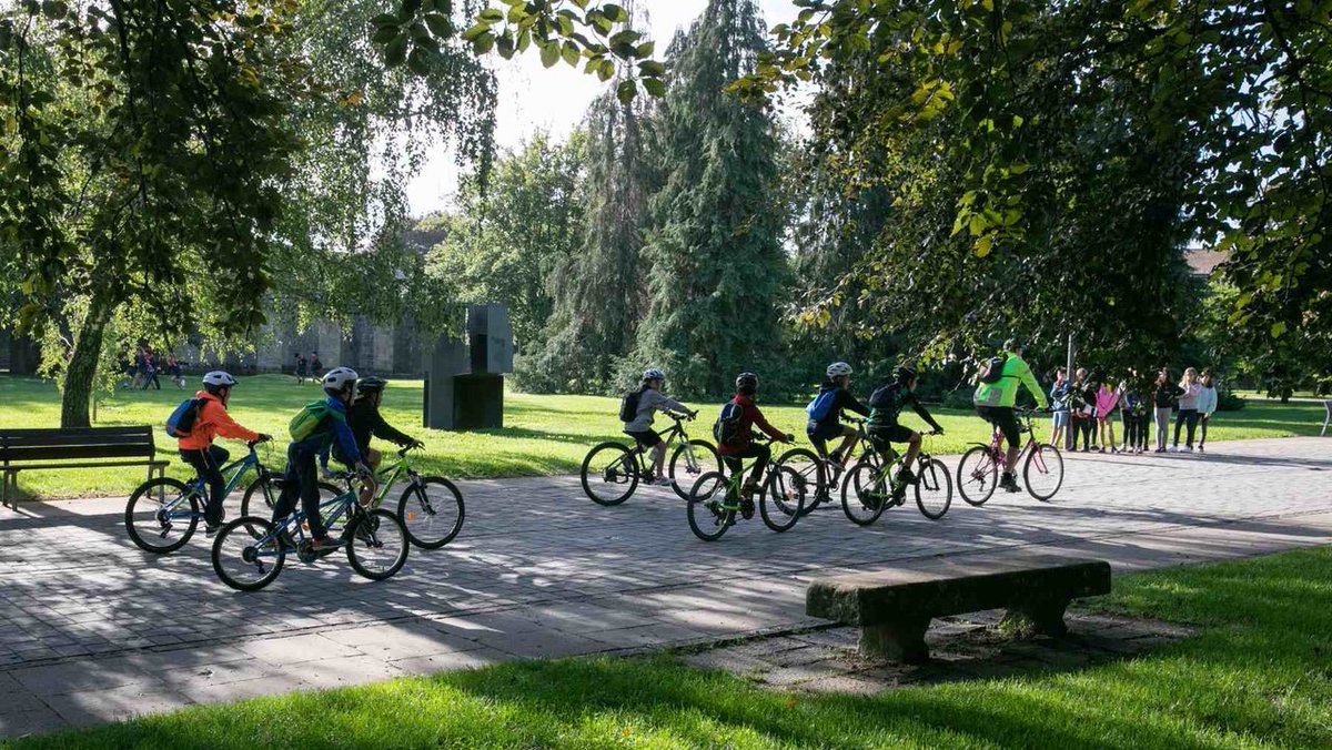Bicicletada escolar 2023, pincha y entérate de cómo participó el Colegio La Compasión
papyrus.escolapiosemaus.org/dia-de-la-bici…
