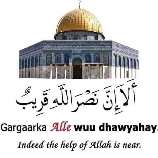 roodo_indho's tweet photo. @FariidaHassan2 https://t.co/MqDlgsRkte