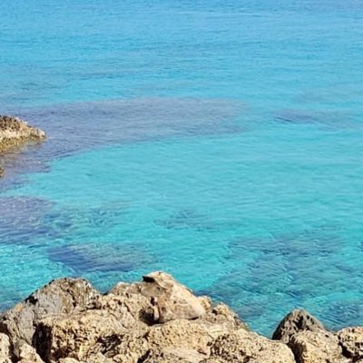 ChantzTC's tweet image. #NewProfilePic