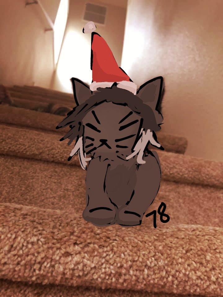 "ermieow..."
78 days before Christmas! — #bsd