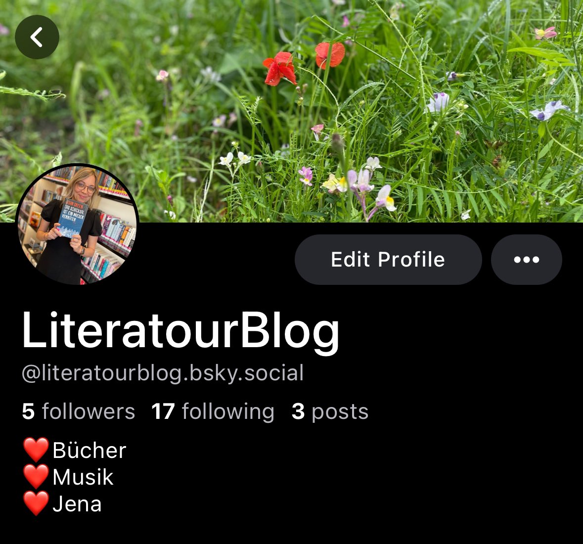 LiteratourBlog's tweet image. Bin jetzt auch im blauen Himmel.