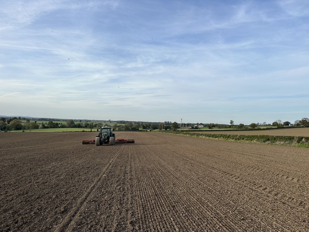 Luke Thornton tweet media