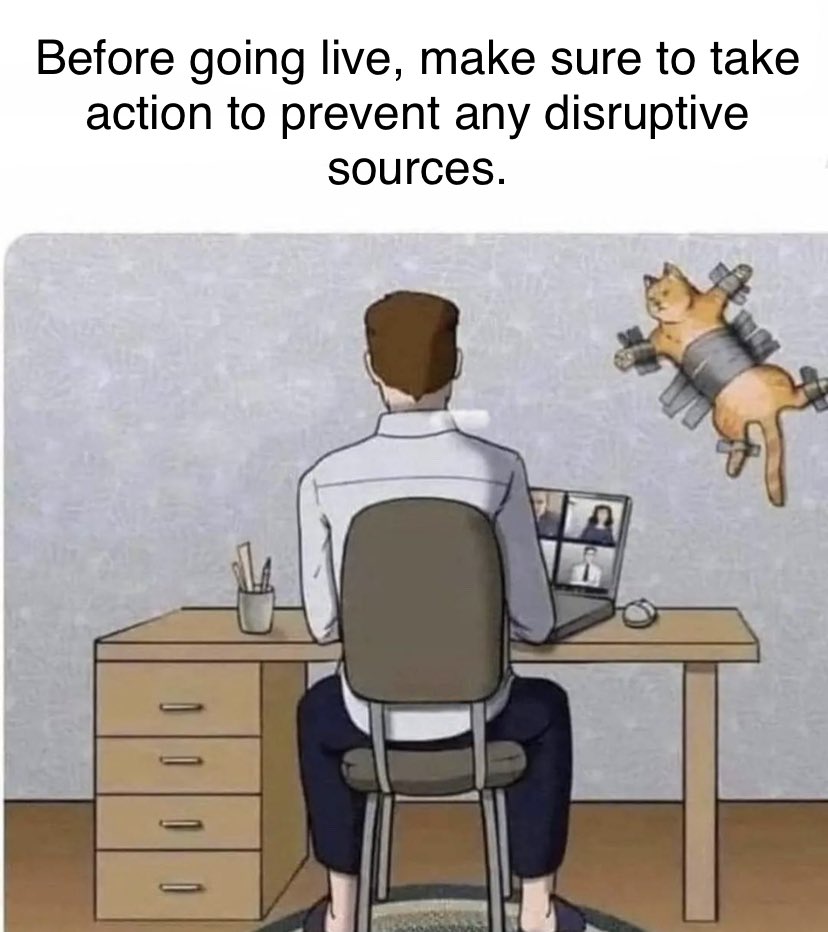 GridzillaTV's tweet image. The very first action before the stream begins 😂✨