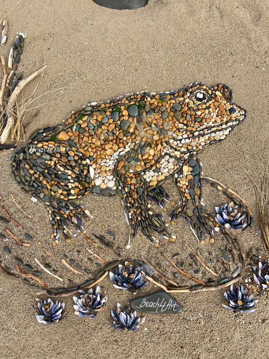 Another Amazing piece of work from Beach4Art this Frog was created today at Sandymere Beach.