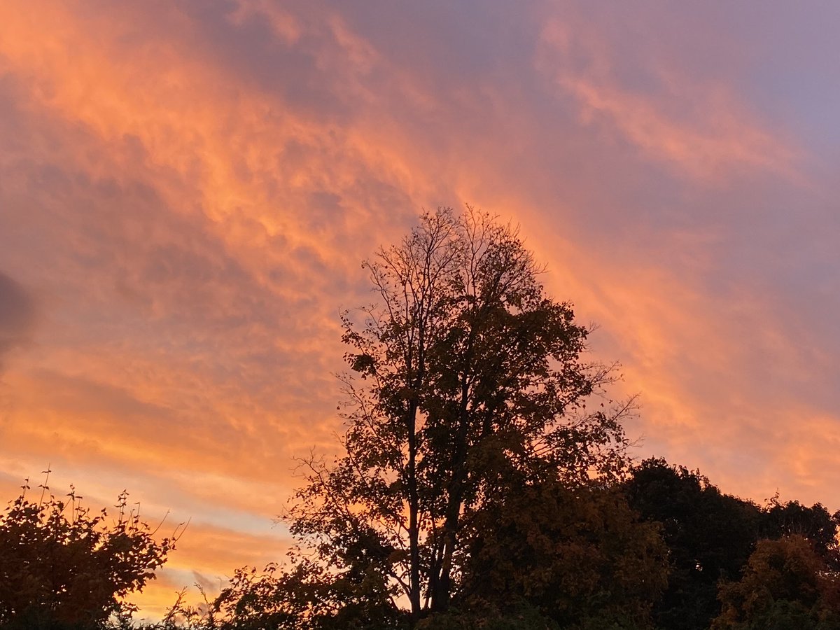 Bon lundi, le beau temps après la tempête!#soleil