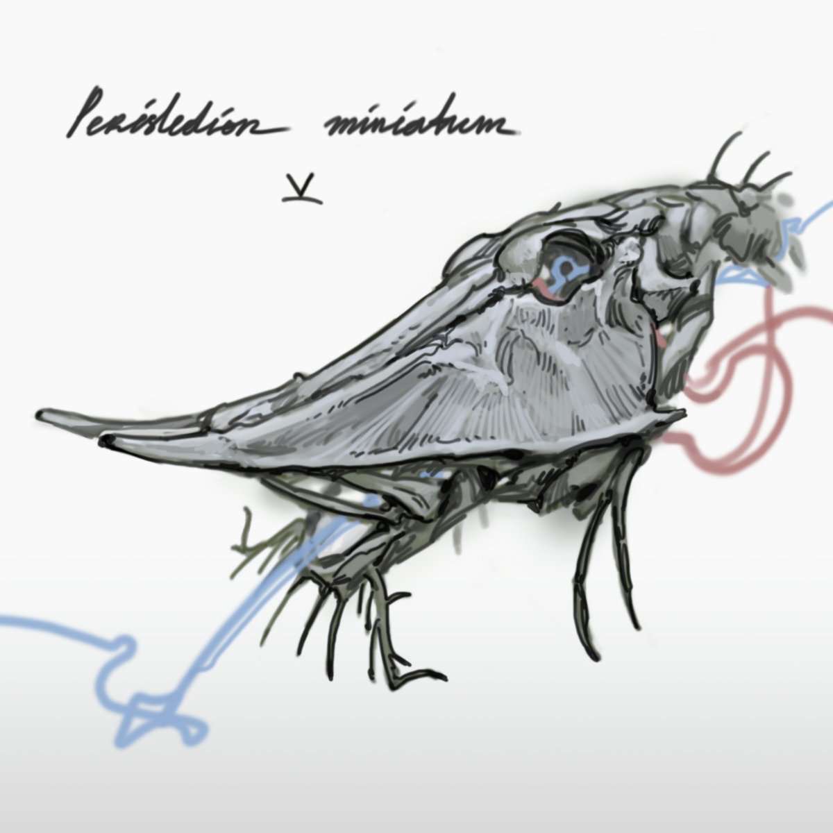 NaissRyo's tweet photo. ✧deadfishtober✧2
#fishskeleton #fishskull #animalart #artwork #lineart #linedrawing #illustration #line #sketchbook https://t.co/IDLiA3xb20