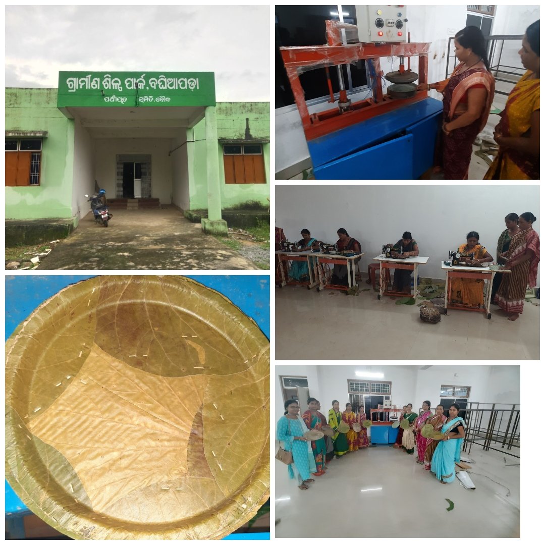 Biodegradable Buffet leaf plate production at Rural Industrial Park, Baghiapada under Boudh Block. @PRDeptOdisha @MoSarkar5T @mission_shakti @GuhaIas @dmboudh @rntripathy_