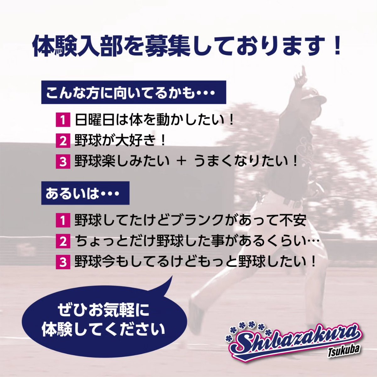 ShibazakuraBBC's tweet photo. #体験入部受付中 
#芝桜 ではほぼ毎週日曜活動中！実際に一緒に野球をしてチームの雰囲気を是非体感してください😆ブランクがあるとか下手だけど上手くなりたいとか野球したいっ！という気持ちがあれば問題ありません😊✨お気軽にご連絡ください☆
#つくば #茨城 #茨城県南 
#野球 #草野球 #軟式野球 https://t.co/8wEDIJWiny