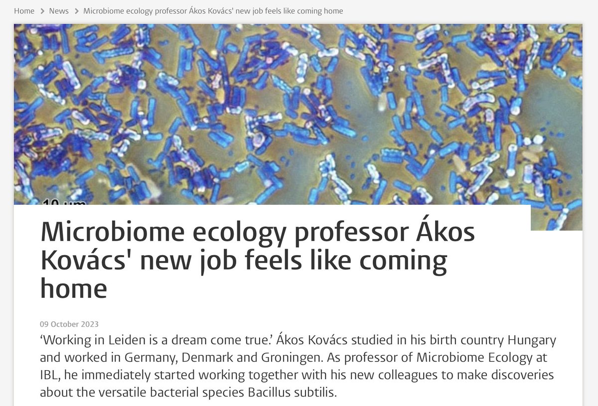 Akos T. Kovacs (@evolvedbiofilm) on Twitter photo "new job feels like coming home"
<a href="/LeidenU/">Leiden University</a> news highlight on my start in Leiden at <a href="/LeidenBiology/">LeidenBiology</a> <a href="/LeidenScience/">Leiden Science</a>/<a href="/LeidenScienceEN/">LeidenScience ENG</a>
universiteitleiden.nl/en/news/2023/1… "new job feels like coming home"
<a href="/LeidenU/">Leiden University</a> news highlight on my start in Leiden at <a href="/LeidenBiology/">LeidenBiology</a> <a href="/LeidenScience/">Leiden Science</a>/<a href="/LeidenScienceEN/">LeidenScience ENG</a>
universiteitleiden.nl/en/news/2023/1…