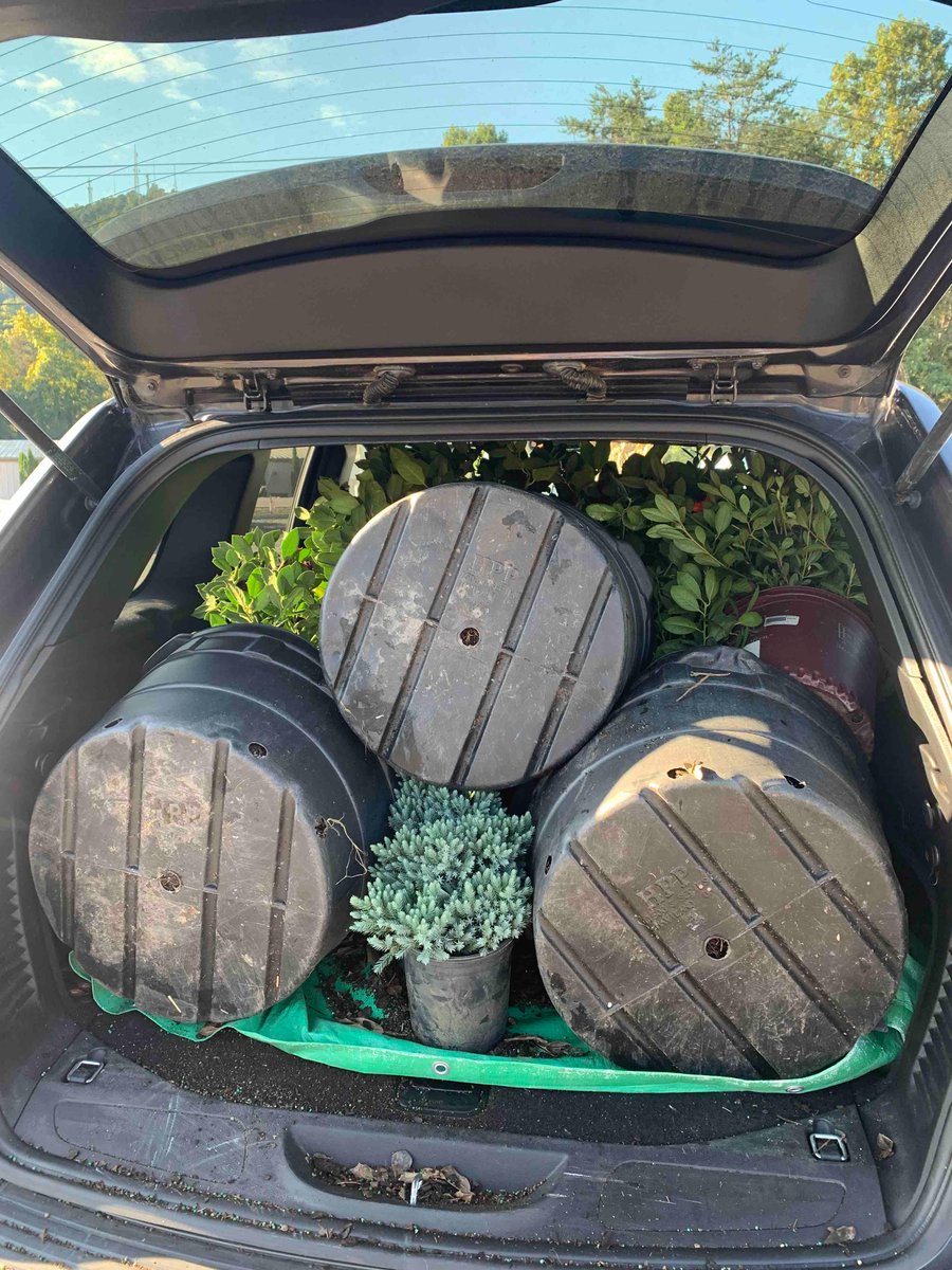 bushman28690's tweet photo. Already sending vehicles home filled to the brim! Come let us fill up your car, so you can fill up your yard! #flowers #plants #morgantonnc #settlemyrenursery #hickorync #ashevillenc #ValdeseNC #gardencenter #trees #landscapedesign #plantnursery #houseplants https://t.co/t4lhhdrMnu