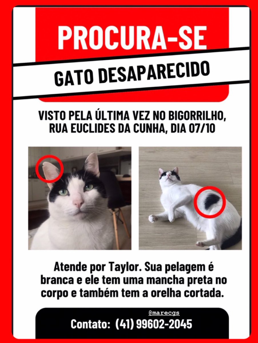 Emilia_Jurach's tweet photo. 🚨 PESSOAL DE CURITIBA: RT para ajudar! 🚨 https://t.co/j0J4ZfIO4P