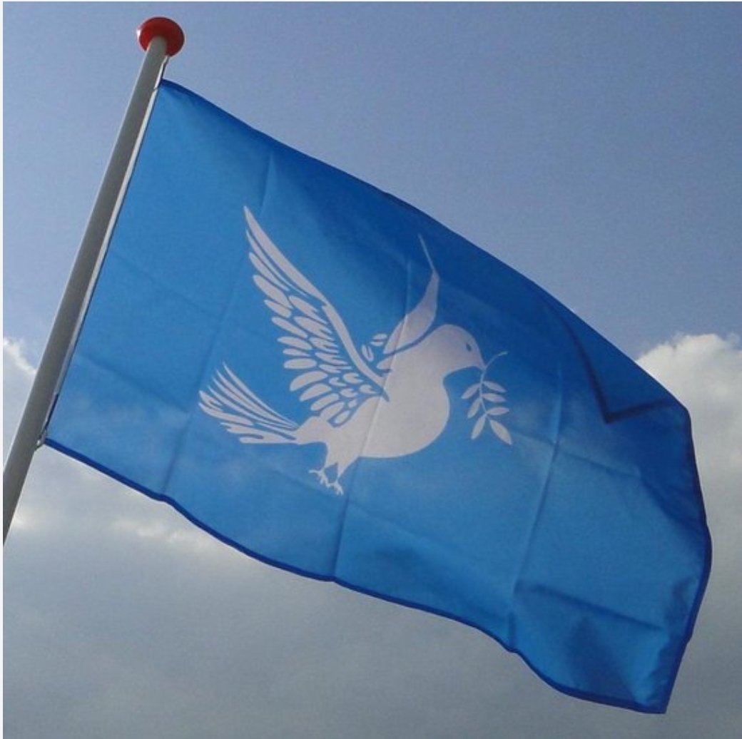 Als je dan per se wilt vlaggen kies dan voor de #vredesvlag met het universele symbool voor #vrede: de vredesduif 🕊 Of hijs de #vlag halfstok, zoals in Utrecht, voor alle burgerslachtoffers die zijn gevallen bij het hevige geweld afgelopen weekend.
#Rutte #Israël #Palestina