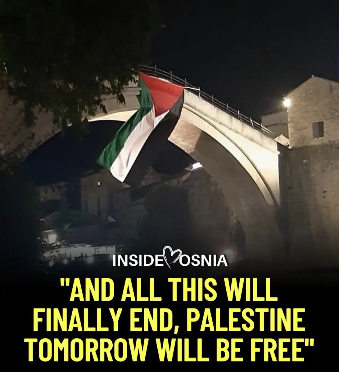 HalalNation_'s tweet photo. Allah willing, Palestine will be free 🇵🇸 https://t.co/kfFNLNRW58