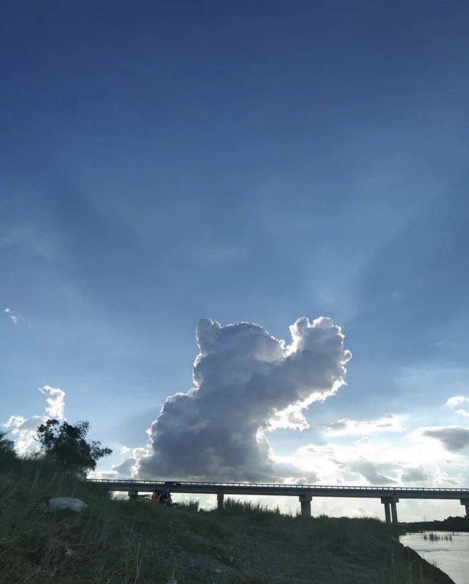 place where car shouldnt be (@carshouldnt) on Twitter photo 