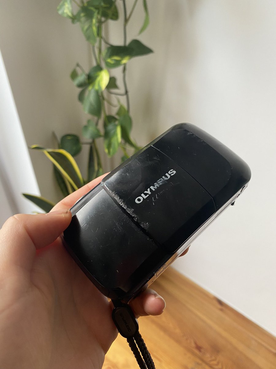 jadeastephens's tweet photo. The (beat up) camera   🤝   The photos https://t.co/GDLDKwLrbM