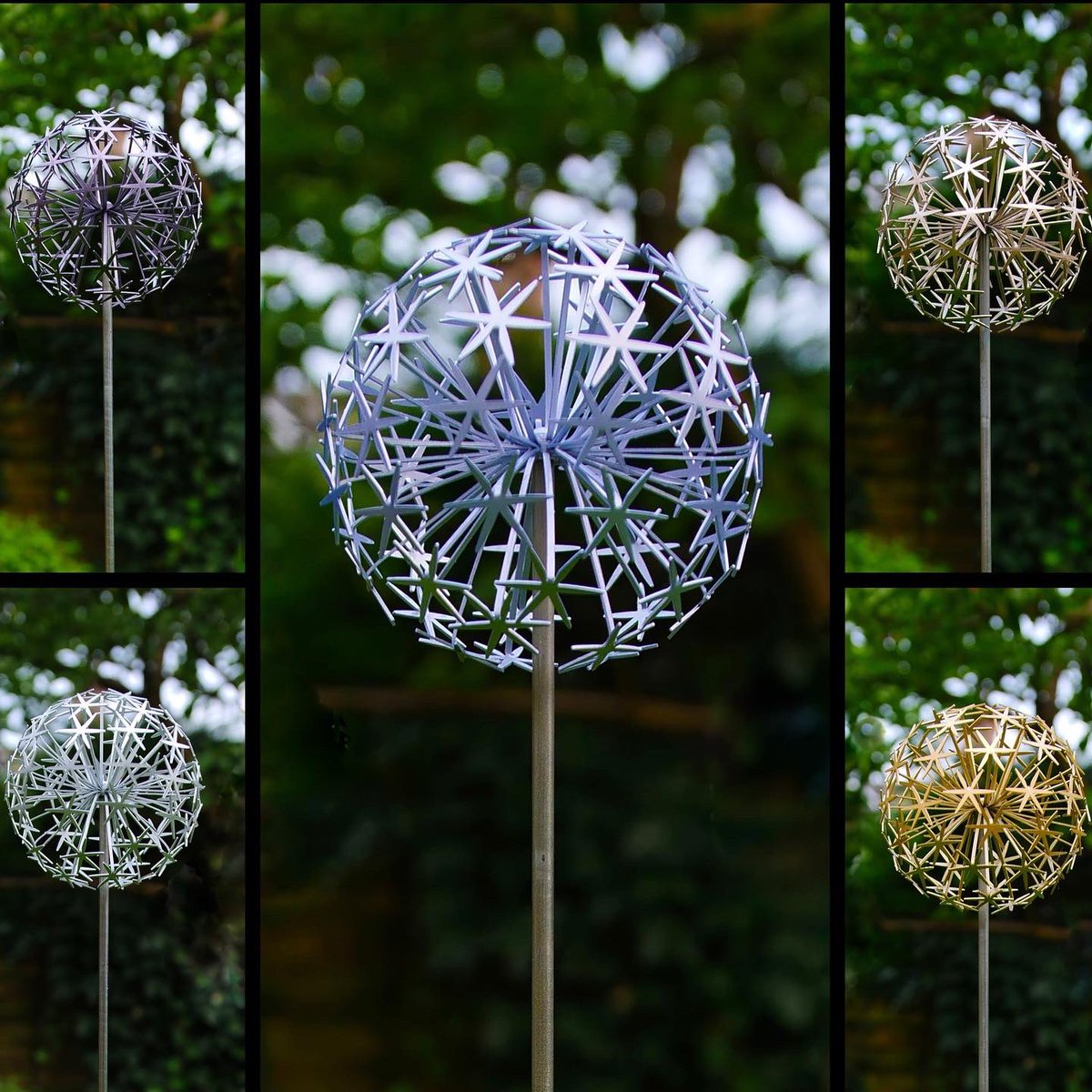 Ruth Moilliet tweet media