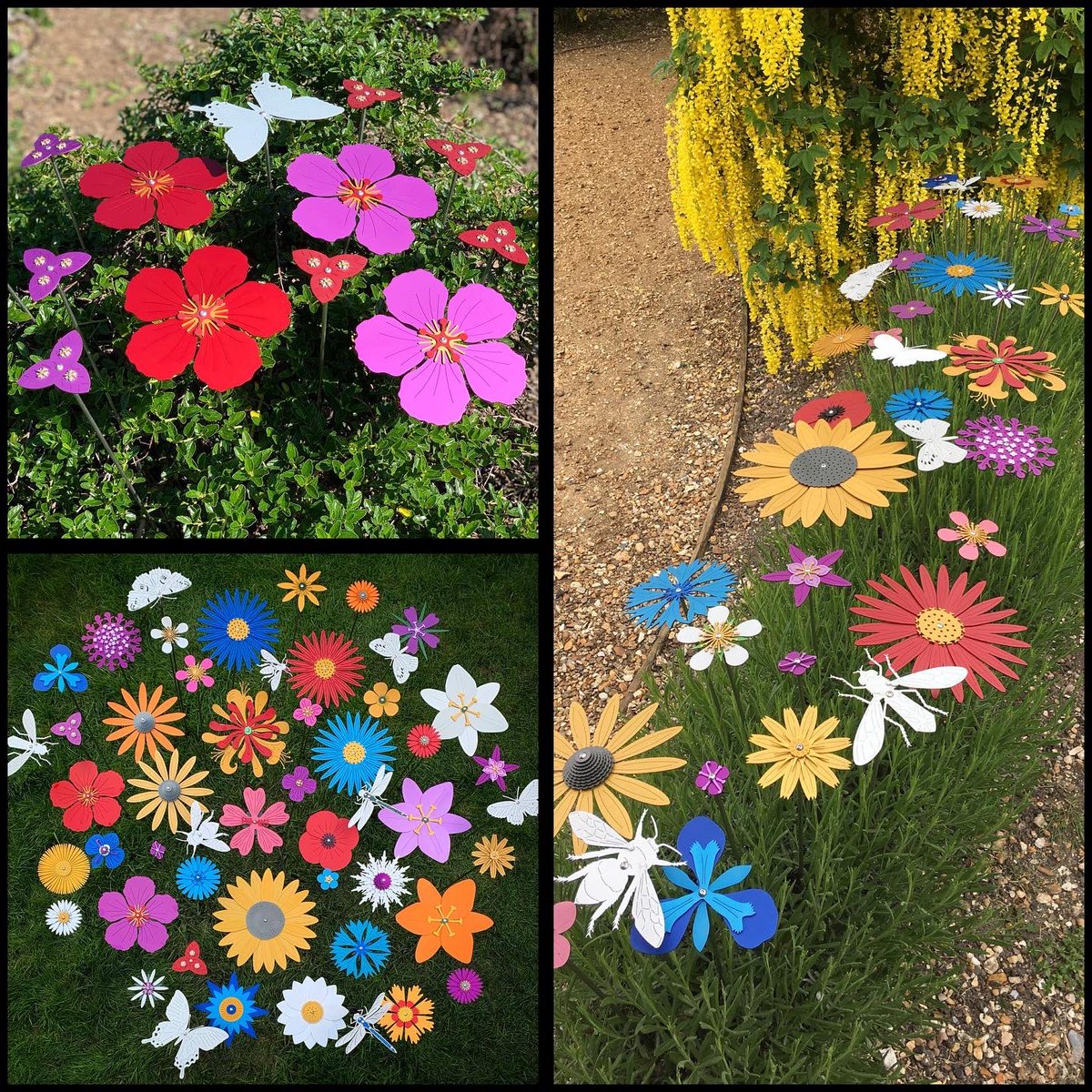 Ruth Moilliet tweet media