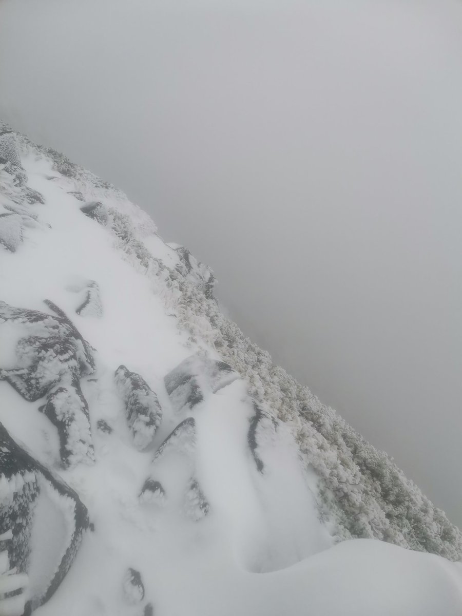 よなぐに🦈🐈 tweet media