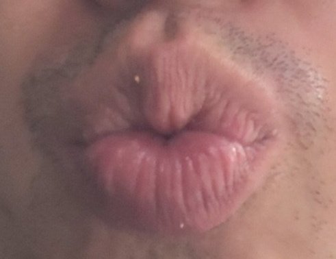 よなぐに🦈🐈 tweet media