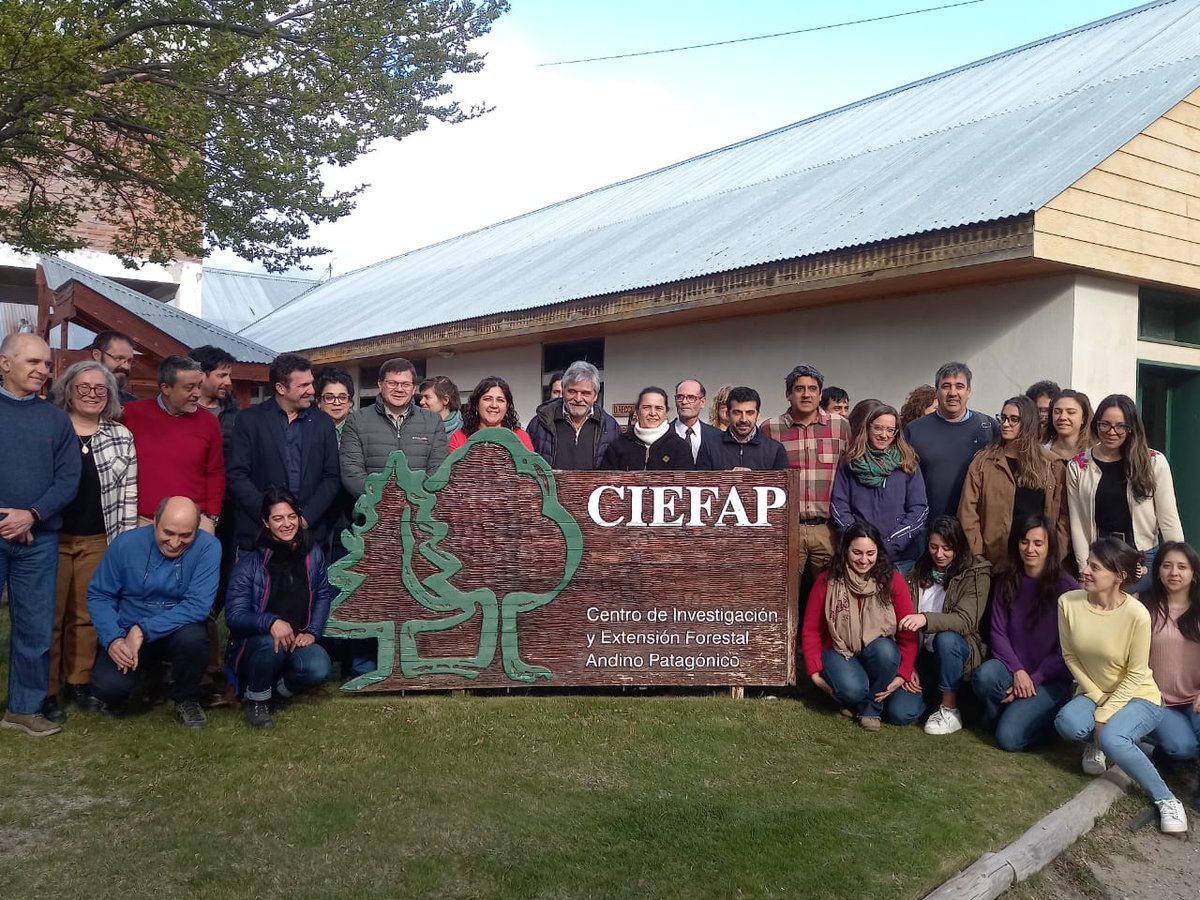 Ciefap tweet media