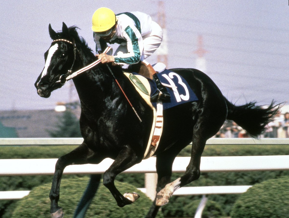 まねき馬レインボー 1160メジロラモーヌ まねき馬レインボー 1160メジロラモーヌ Yahoo!オークション