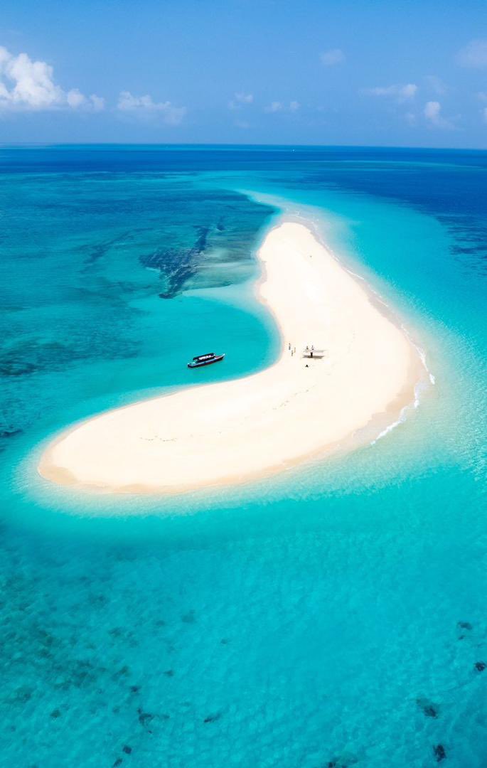 SafariGateway_'s tweet photo. Gateway Safari is a popular choice for those seeking tranquility, peace, and privacy in Zanzibar.
#VisitWithUs https://t.co/FWcUfHRmyP